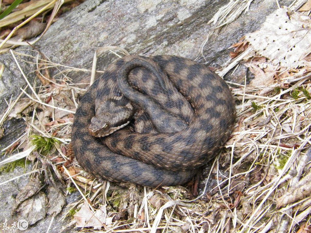 吉林自然美景探索之旅,追寻内心平和与喜悦的旅程