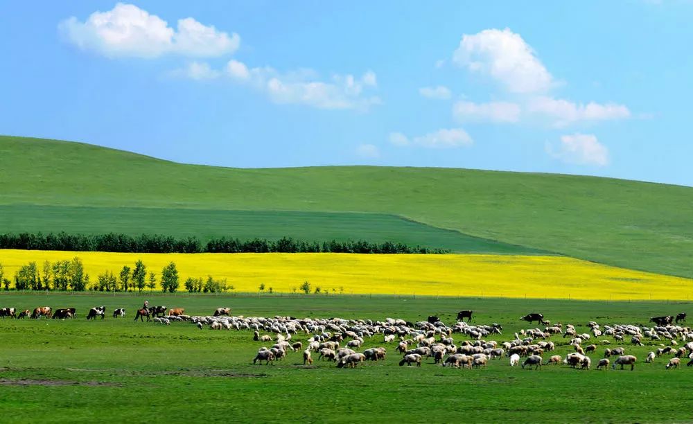 内蒙古绿色崛起,草原明珠再放异彩